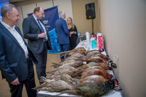 VIP Aquapalace Resize 026