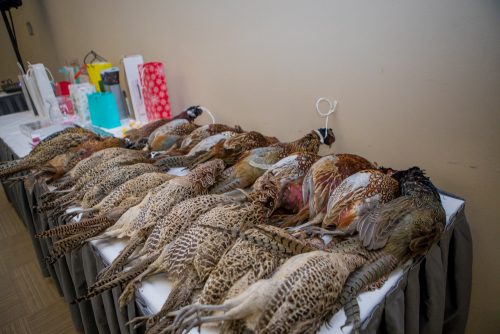 VIP Aquapalace Resize 027