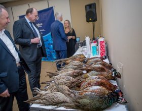 Vánoce 2018 (18)