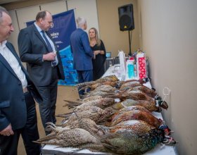 Vánoce 2018 (96)